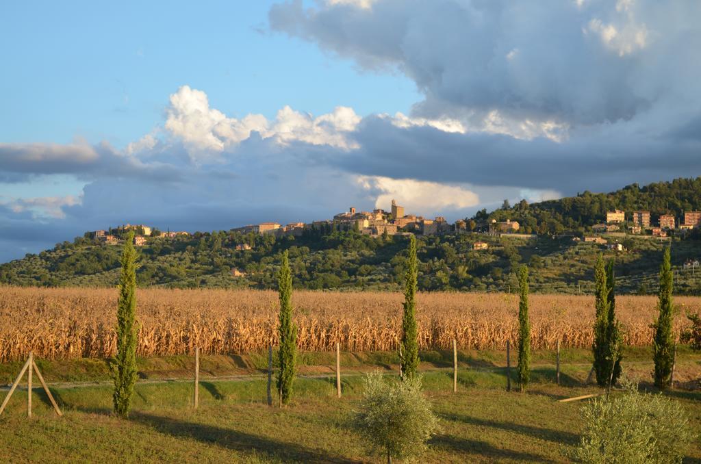 Podere Molinaccio Panicale Quarto foto